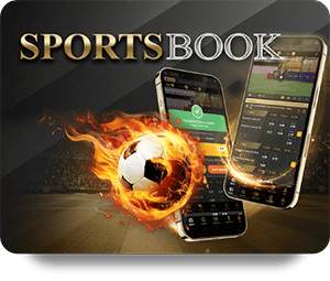 Exploring the Best Online Poker Platforms for Players Worldwide